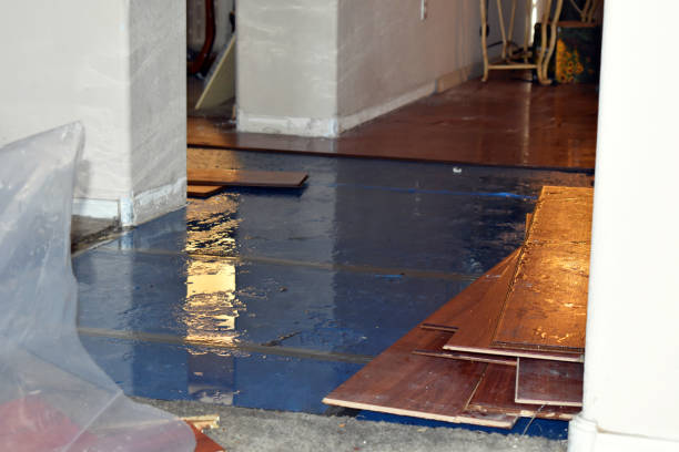 Professional Basement Flooding technician working in Rice, TX